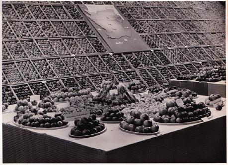 ] Utställningen Skånsk frukt i Blå Hallen, Stockholm 1-7 okt. 1940. 4:o.