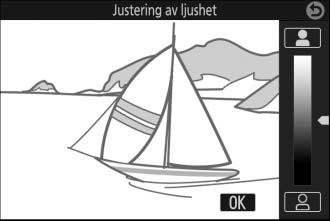 E Justering av ljushet: Gör bilder ljusare eller mörkare.