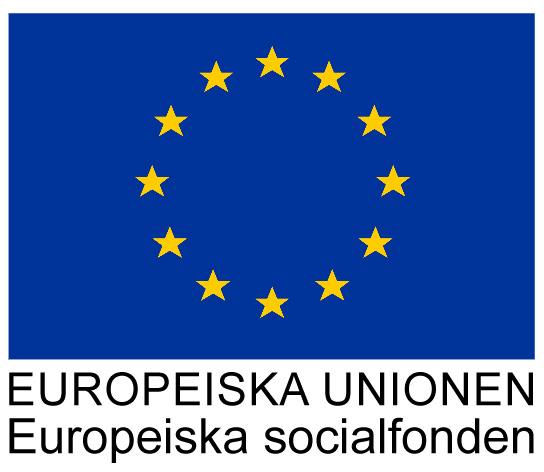 Diarienummer 2017/00083 Sid 23(23) Ungas mobilitet Privata kontanta medel tillförda projektet Kontanta privata medel Privata kontanta medel från projektägaren Egeninsats Egeninsats
