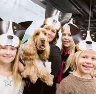 uppvisningar, final i hundutställningen m.m. 0 B0: B0: SKK-to Prova på hundsport Prova på hundsport prova på Nose work, Agility m.m. Gbg charmigaste hund fototävling Pälskollen Få proffshjälp att kolla pälsen.