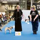 Huvudentré Hiss till Heaven Huvudentré/Main En Gothia Towers UTSTÄLLARE Dogs Import Sweden Agria Djurförsäkring Aktiv Hund Alac AB Aloevera Produkter Didi KB Anicura AO Ekman Arrak Outdoor i
