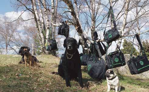 Men det viktiga är att du fortsätter att tycka lika mycket om din hund när du kommer hem från utställningen som innan du åkte dit.