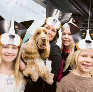 Tid & plats: Finalring - alla dagar kl. SHOW: POLISHUNDAR Ett av de stora dragplåstren på MyDOG är polishundarnas imponerande uppvisning.