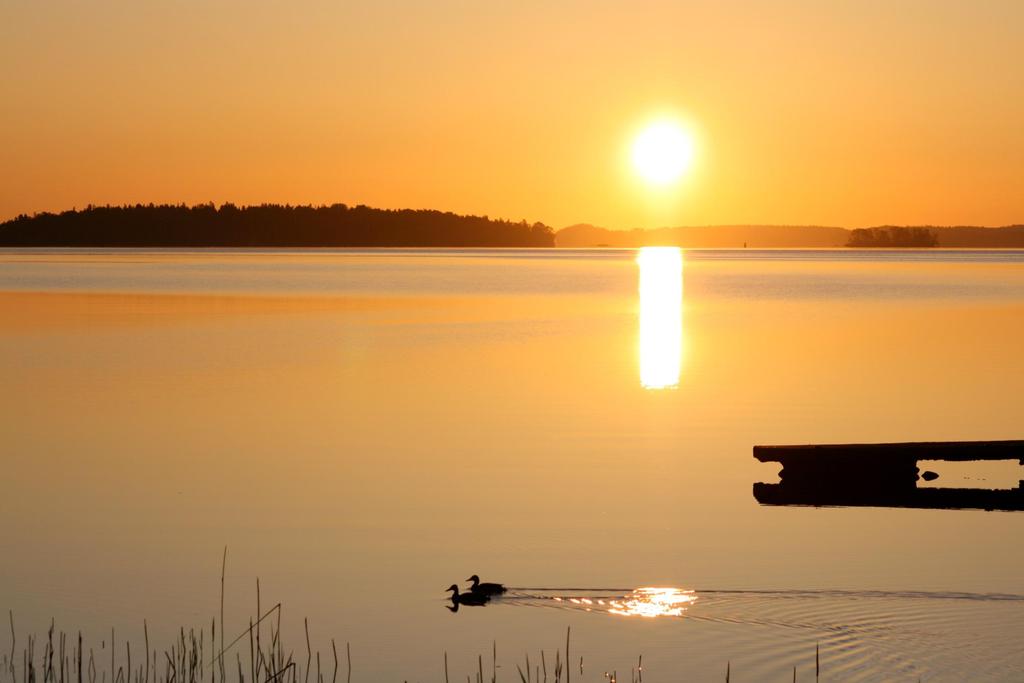 Vattenrådet en möjlighet att ta en aktiv roll i vattenvårdsarbetet - exempel från Skåne Jonas