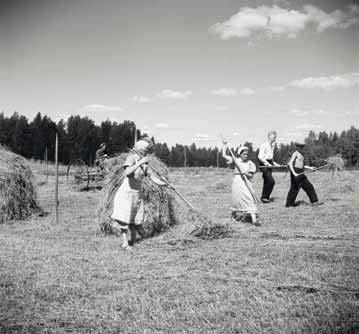 Hästen bodde i stallet och i ladorna på ängarna förvarade man hö till djuren. I bagarstugan bakade man bröd och i bastun kunde man tvätta sig men också föda barn och laga mat.