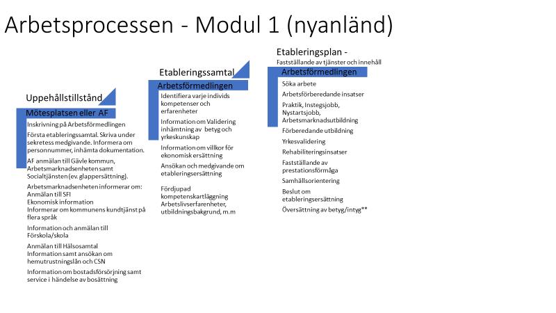 2.2 Arbetsprocessen kring individerna Modul 1 I överenskommelsen är målgruppen såväl nyanlända som utrikesfödda.