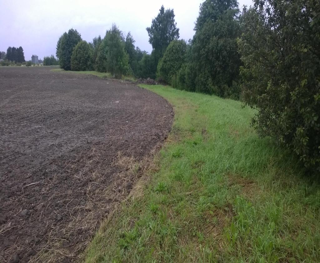 Skyddsremsor 3 m (20% av 54 /ha) Utfall: Grävt dike som samlar och leder vatten från ett större område kräver minst 1 m obearbetad dikesren Vattendrag: En
