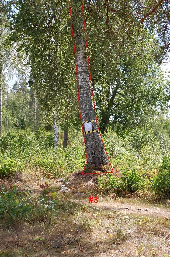 15 #3 På stigen mellan badstranden och