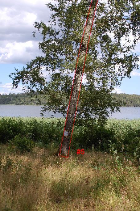 västra stigen