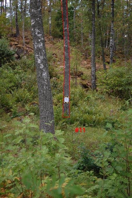 20 #11 På västra sidan av
