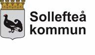 Kommunens redovisning 007 Kommunfullmäktige beslutar om mål för verksamheter och ekonomi samt fördelar medel till nämnder och styrelser.