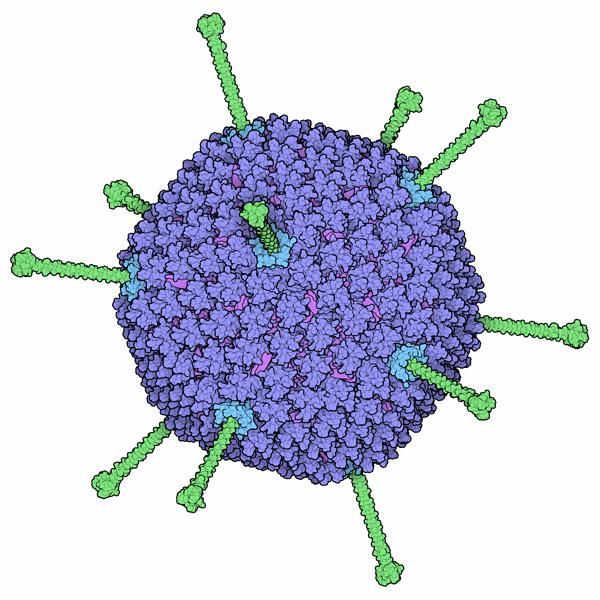 Kan man använda virus för