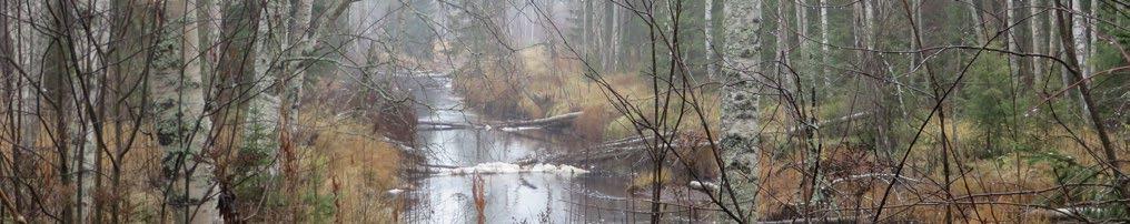 Hur är det idag - Brister och möjligheter Kustbergen Högberget, Lillberget och Sandholmsberget är viktiga utflyktsmål men saknar skydd för naturmiljön (Riksintresse kulturmiljö).