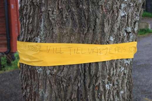 förvånansvärt bra!