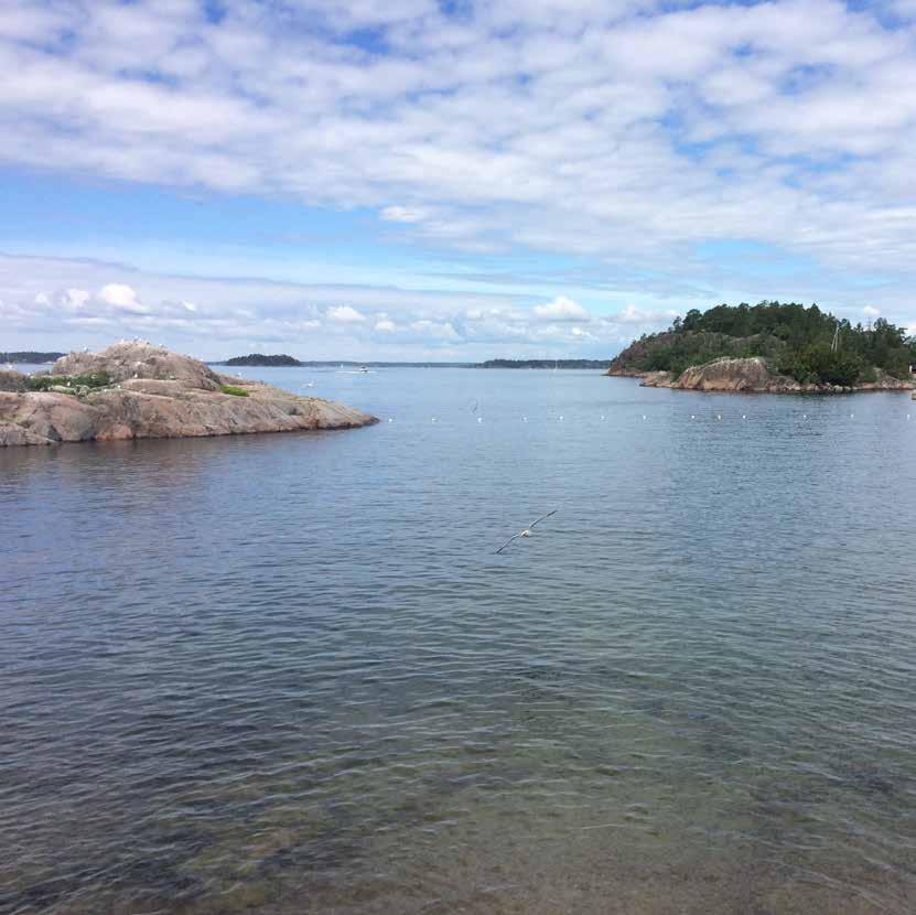 Visste du detta om allemansrätten? Du använder dig av allemansrätten när du går en promenad, paddlar kajak eller sitter på en sten och tänker.