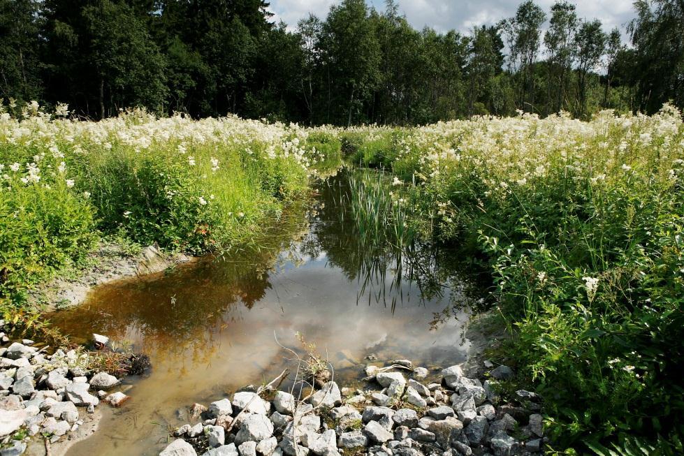 Avtal om skötsel av våtmark Avtalet kan gälla: areal som upptas av en våtmark, ett översvämningsområde eller en fåra som återställts i naturenligt skick och där skötselåtgärder utförs samt