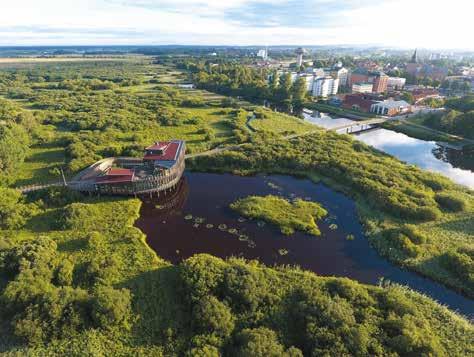 NATURUMS PROGRAM 17 JUNI - 19 AUGUSTI 2018 Sommar i Vattenriket Starta din sommar i
