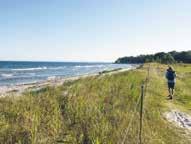 Välkommen ut i Vattenriket! Linnérundan och Lillö Starta vid naturum och promenera 6 km bland vass, videsnår och strandängar.