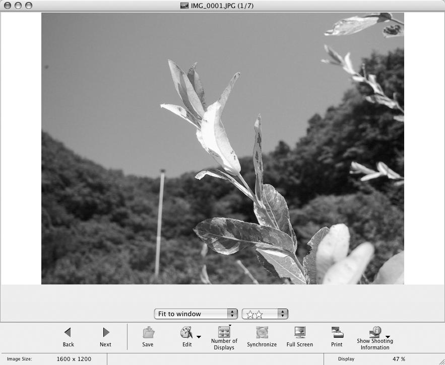 Använda programvaran i MacOS Avancerade tekniker 55 Visningsfönster Visa en bild i visningsfönstret genom att klicka på bilden i bläddrarområdet.