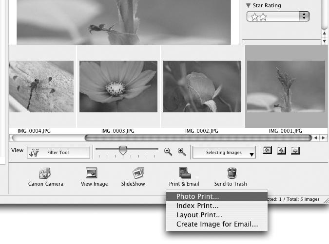 Vissa ImageBrowser-funktioner kanske inte är tillgängliga för vissa kameramodeller.