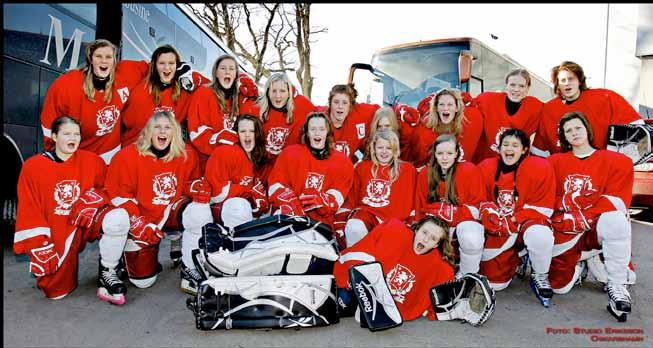 ÖSTERGÖTLANDS ISHOCKEYFÖRBUND Verksamhetsberättelsen