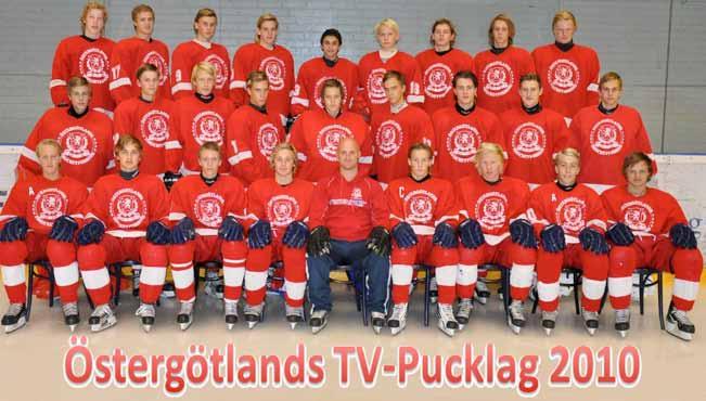 Spelarutbildning Damkommittén Disciplinnämnden