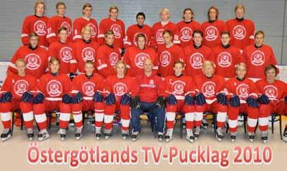 Ledarutbildningskommittèn Spelarutbildningskommittèn Under säsongen har vi genomfört 4 stegutbildningar och 1 fortutbildning.