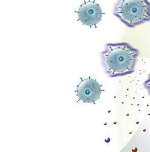 mekanoreceptorer, som kallas integriner, vilket aktiverar