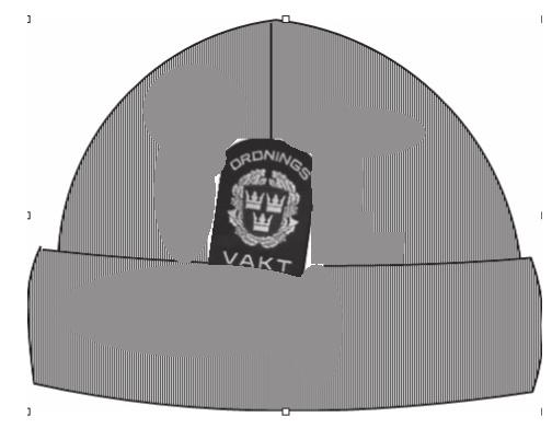 PMFS 2017:12 Bild 12 Uniformsplagg Bärandeföreskrift Beskrivning Mössa Blå,