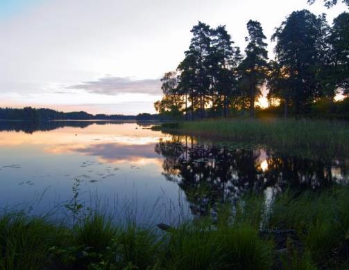 Näringsfattig Humös