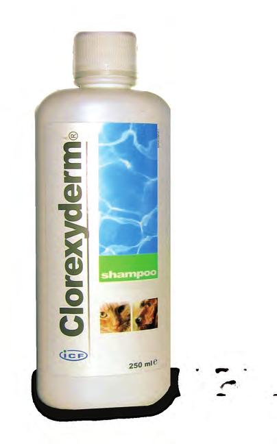 HUD Clorexyderm shampoo 4% Koncentrerat schampo till hund, katt och häst. Clorexyderm shampoo 4% används till hud- och pälshygien på djur när rengöring är förknippad med en stark antiseptisk åtgärd.