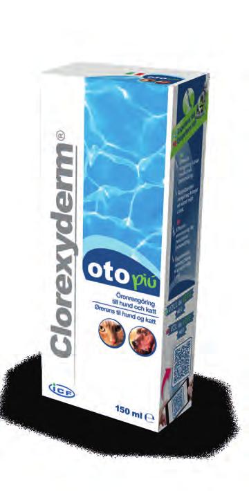 ÖRON Clorexyderm oto piú Till regelbunden öronrengöring hos hund och katt.