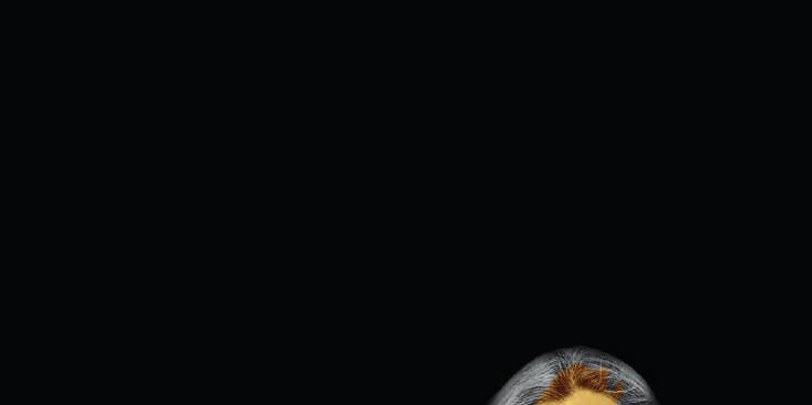 Trettondagsafton Barbra Streisand Gunilla Backman Rickard Söderberg 5/1 En trettondagsafton med musik av Barbra Streisand vilken härlig start på det nya året!