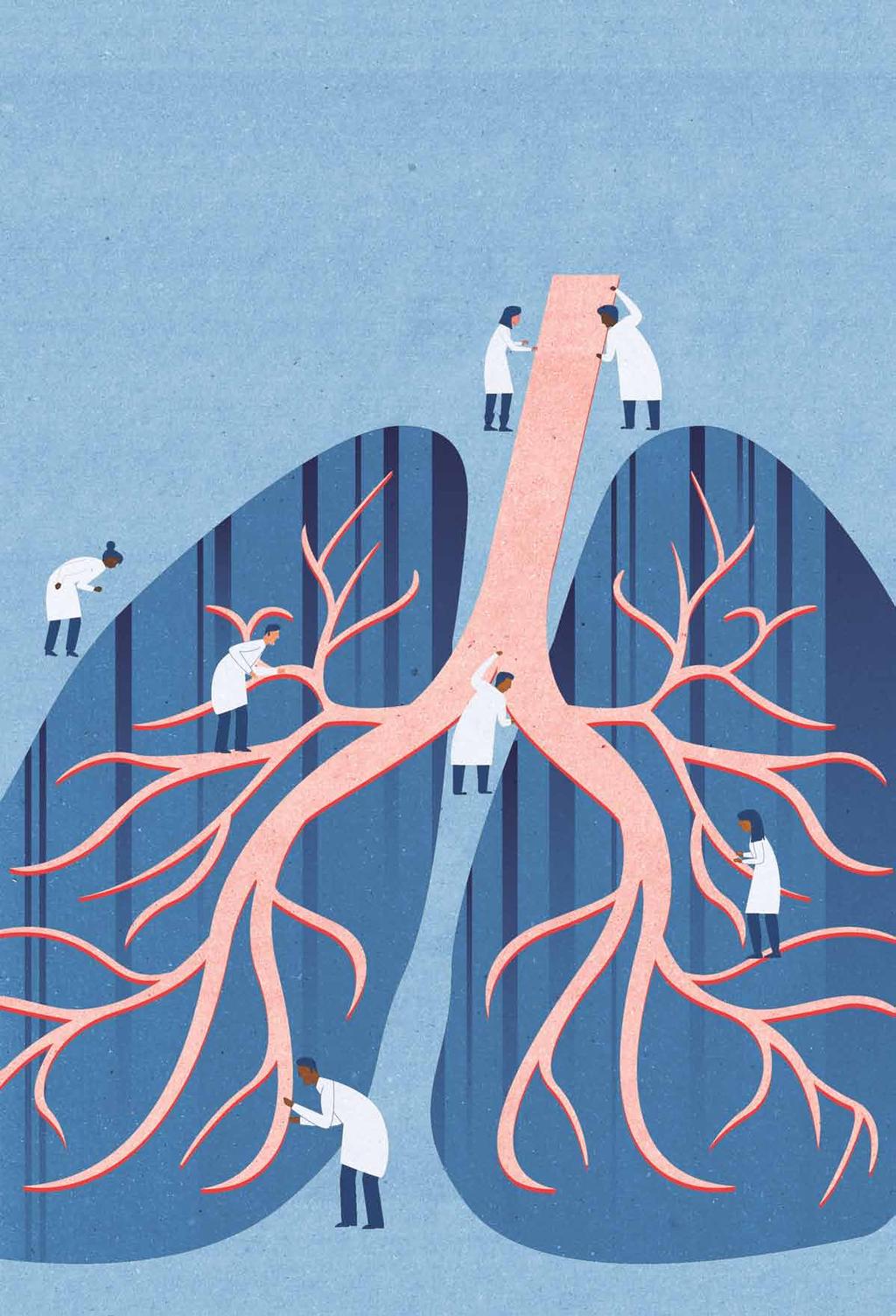 infarkt, Stroke, Plötsligt hjärtstopp, Blodtryck, KOL, Diabetes och ett faktablad som är speciellt riktad med information till närstående.