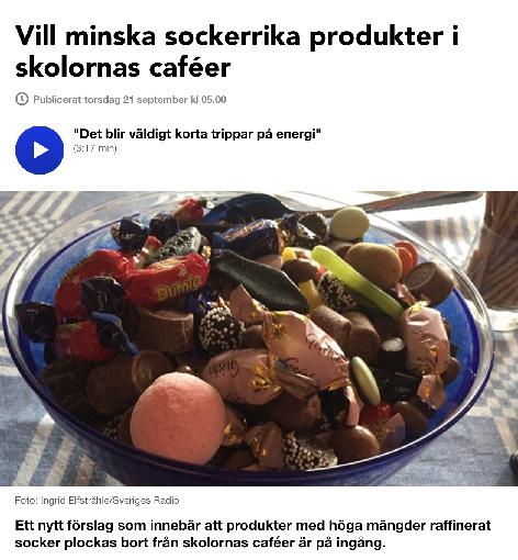 I början av augusti lanserade Sveriges Elevkårer en ny hemsida.