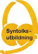 Utbildningen ger kompetens för att arbeta som syntolk i kulturella sammanhang, främst film och teater, men även inom konst och i andra visuella sammanhang.