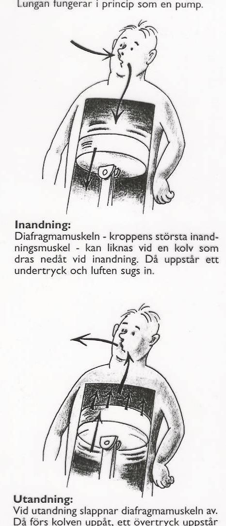 Ansträngningsutlösta andningsbesvär!