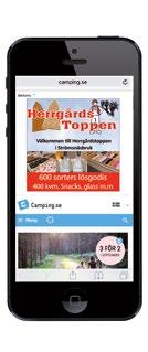 Vid foten av Hovfjället naturreservat i Värmland ligger Camping 45. Här satsar man på miljö och har en miljöpool som med ny teknik rengörs utan kemikalier.