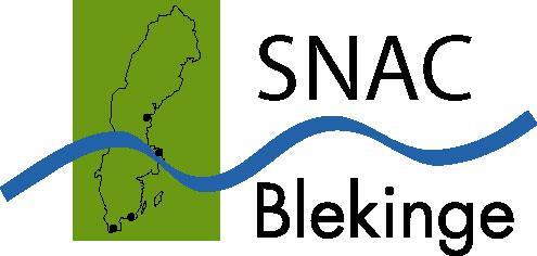 En bild av de äldre Upplevd hälsa och funktionsförmåga bland äldre