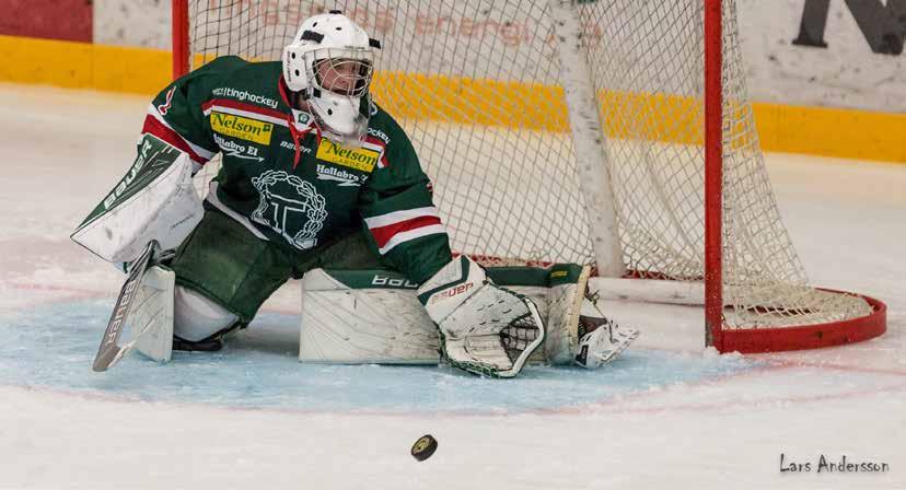 Målmedveten träning och teoretisk utbildning ger dig möjlighet att utvecklas som ishockeyspelare. Verksamheten syftar till att ge en god grundutbildning för en eventuell senare elitkarriär.