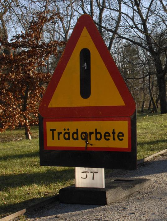 Vid grävning kring rötter kan det vara nödvändigt att gräva för hand för att undvika skador. En avsliten rot kan orsaka trädets död flera år senare.