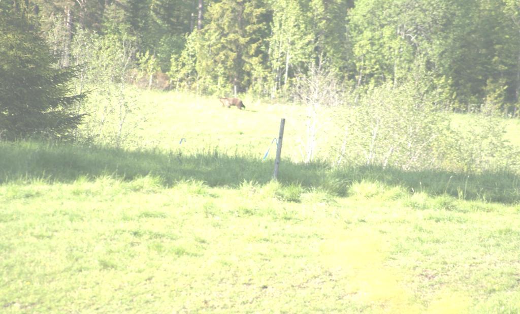 2. Levande landsbygd Vi strävar efter en blomstrande närproduktion för kommunen.