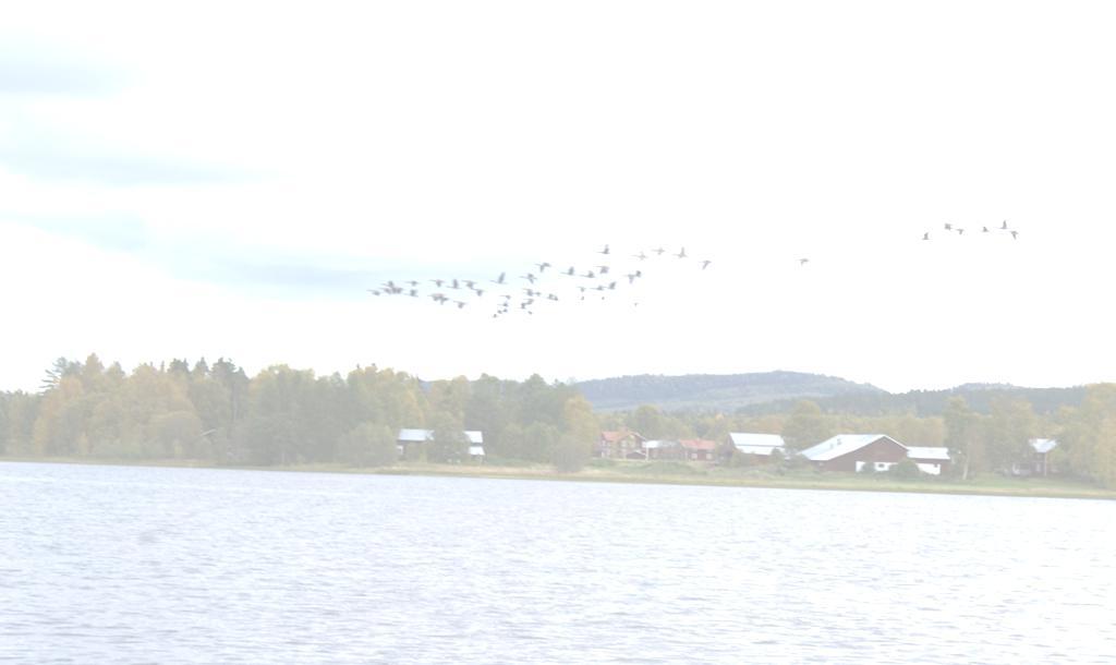 6 Miljö- och byggnadsnämnden Kommunen skall för att främja nybyggnation inom strandskydds-områden i mer positiv anda bevilja dispenser.