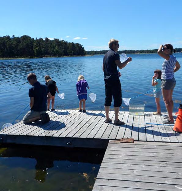 NYA NATURUM TROLLSKOGEN Naturum Trollskogen är stängt för ombyggnation men skogen kan man alltid gå i.