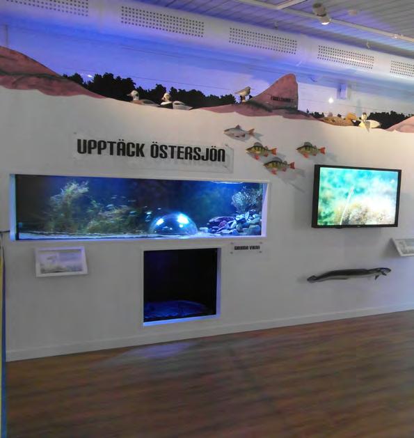 NATURUM VÄSTERVIK Kulbacken, en plats där natur och kultur möts mitt i staden.