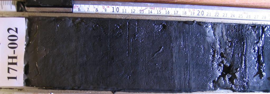 Sedimentkärnor från den potentiella dumpningplatsen behövs för kemiska analyser och sedimentkaraktäristik Bestämning av sedimentationhastighet i det potentiella dumpningsplatsen är ett vanligt krav