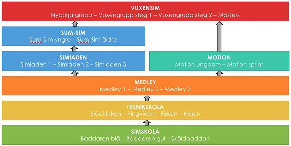 En kortversion av utbildningsmaterial i Simlinjen nås också via Svenska Simförbundets hemsida: www.svensksimidrott.se/globalassets/svenska-simforbundet/dokument/simning/riktlinjersimlinjen.