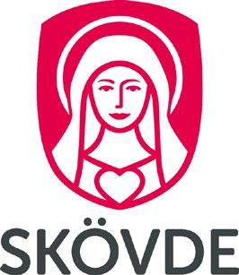 Boendestrategiskt program för