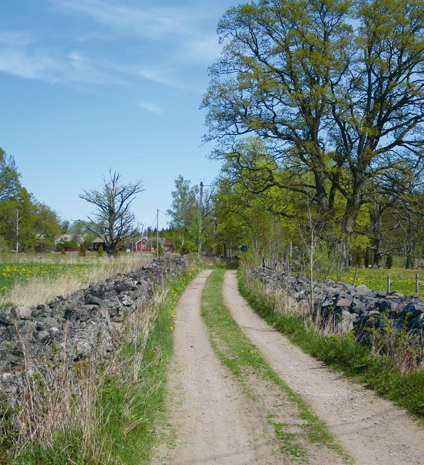 Luffarna i Björkshult Glasbruk, tegelbruk och andra industrier med ugnar som eldades dygnet runt var populära platser för luffare.