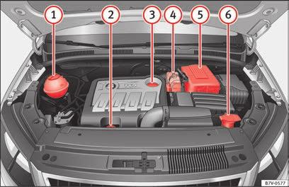 Tekniska specifikationer 345 Tekniska specifikationer Kontrollera vätskenivåer De olika vätskorna i fordonet måste kontrolleras då och då.